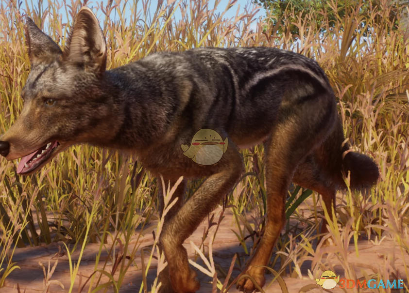 《动物园之星》新物种侧纹胡狼MOD