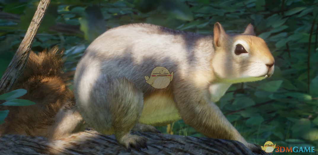 《动物园之星》新物种中东松鼠MOD