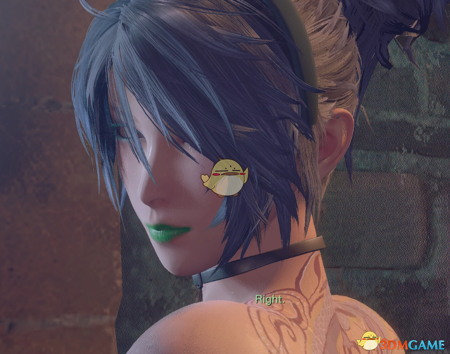 《生化危机4：重制版》性感阿卡丽替换艾达MOD