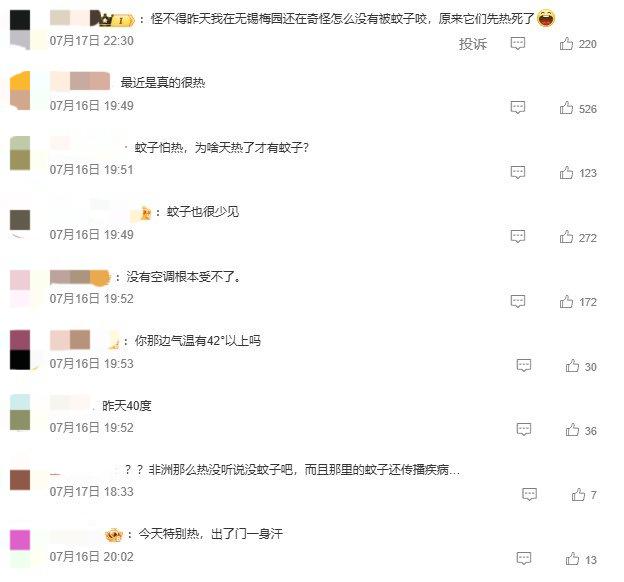 夏日的“告白语”是热到爆炸！河南极端高温热死蚊子
