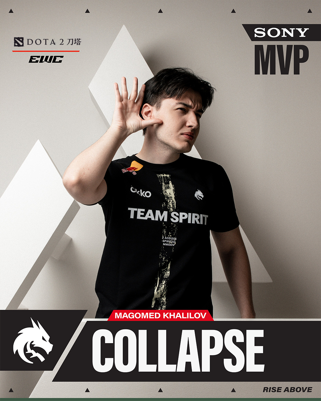 电竞世界杯《DOTA2》：TS战队再次夺冠 获100万美元奖金