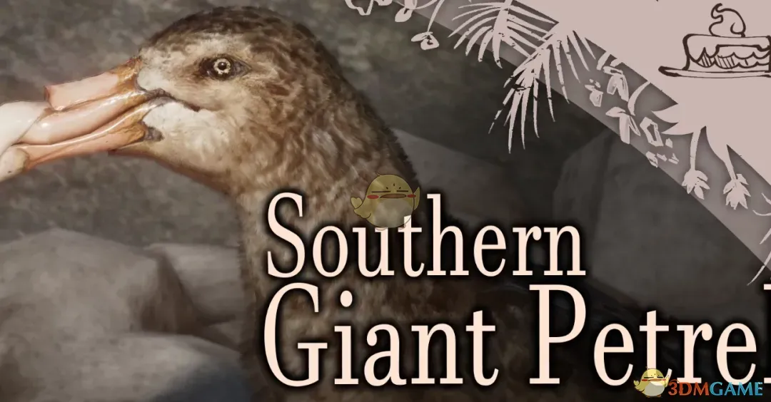 《动物园之星》新物种南方大海燕MOD