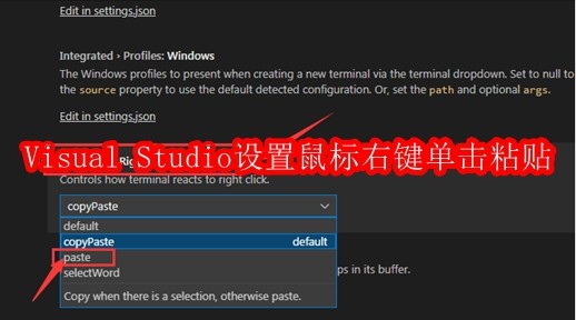 Visual Studio怎么设置鼠标右键单击粘贴
