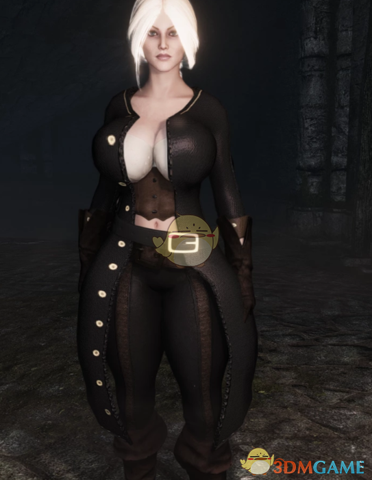 《上古卷轴5：天际重制版》流浪海盗套装MOD