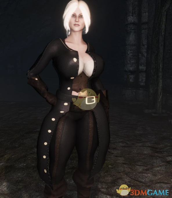 《上古卷轴5：天际重制版》流浪海盗套装MOD