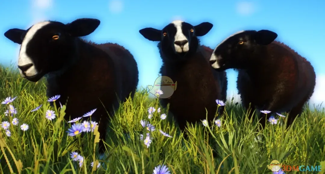 《动物园之星》新物种兹瓦特布尔斯羊MOD