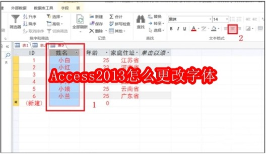 Access2013怎么更改字体