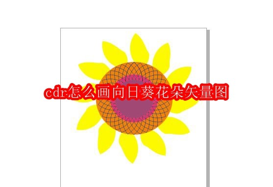 cdr怎么画向日葵花朵矢量图