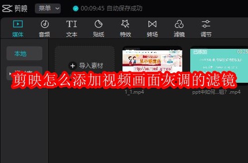 剪映怎么添加视频画面灰调的滤镜