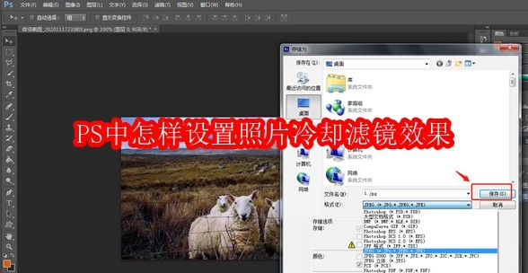PS中怎样设置照片冷却滤镜效果