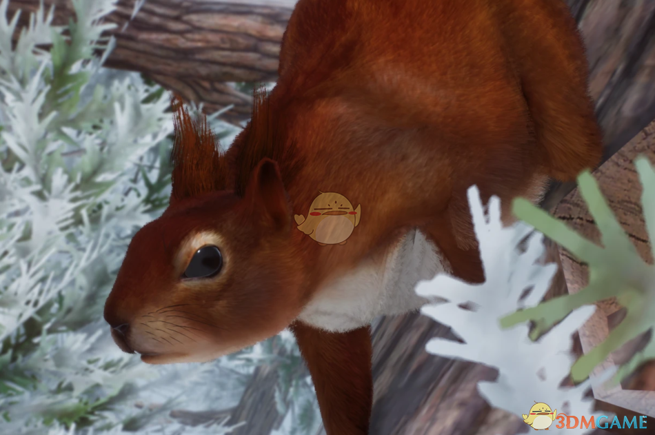 《动物园之星》新物种欧亚红松鼠MOD