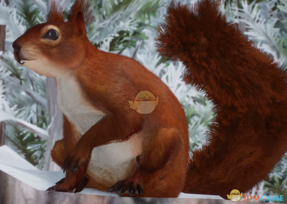 《动物园之星》新物种欧亚红松鼠MOD