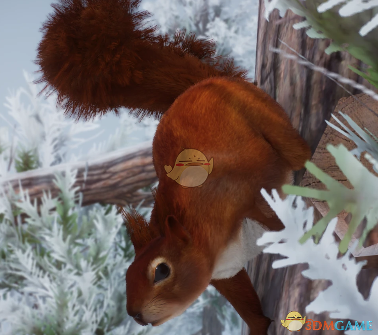 《动物园之星》新物种欧亚红松鼠MOD
