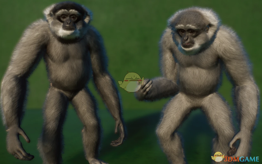 《动物园之星》新物种银白长臂猿MOD