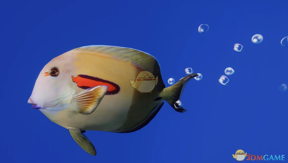 《动物园之星》新物种橙斑刺尾鱼MOD