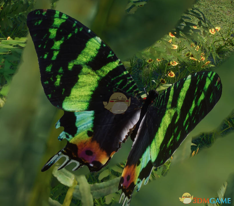 《动物园之星》新物种日落蛾MOD