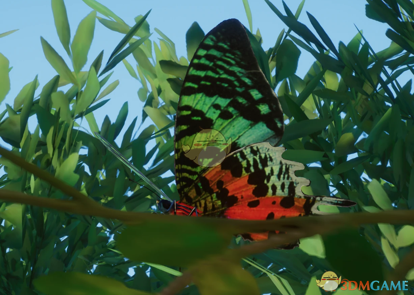 《动物园之星》新物种日落蛾MOD