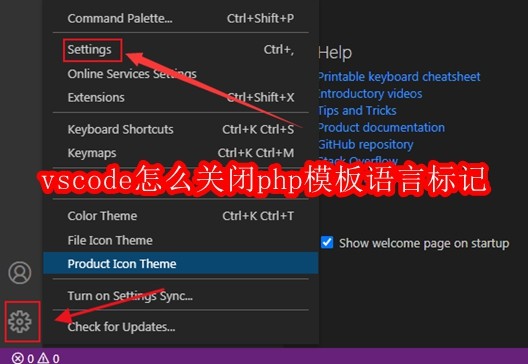 vscode怎么关闭php模板语言标记