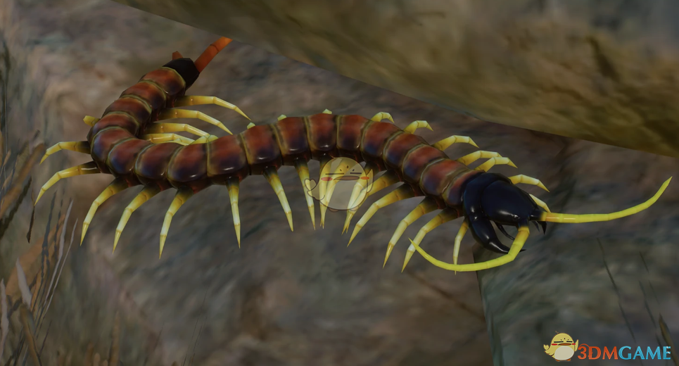 《动物园之星》新物种北美巨人蜈蚣MOD