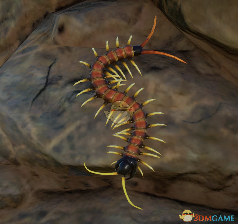 《动物园之星》新物种北美巨人蜈蚣MOD