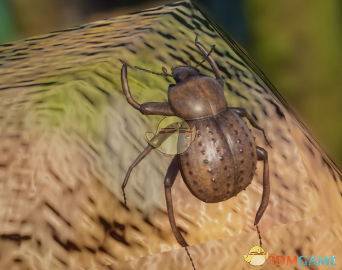 《动物园之星》新物种弗雷加特岛甲虫MOD