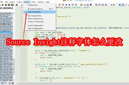 Source Insight注释字体怎么更改