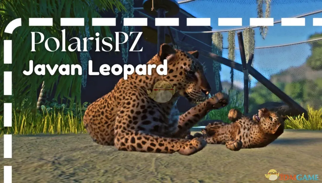 《动物园之星》新物种爪哇豹MOD