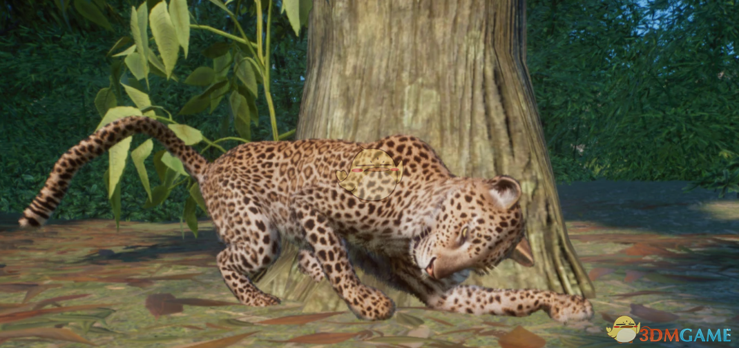 《动物园之星》新物种爪哇豹MOD
