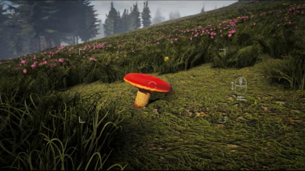 《Forager's Finds》demo