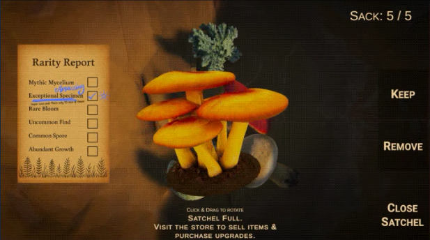 《Forager's Finds》demo