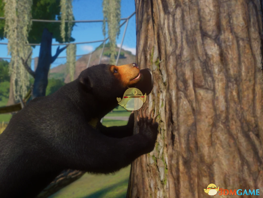 《动物园之星》新物种婆罗洲太阳熊MOD