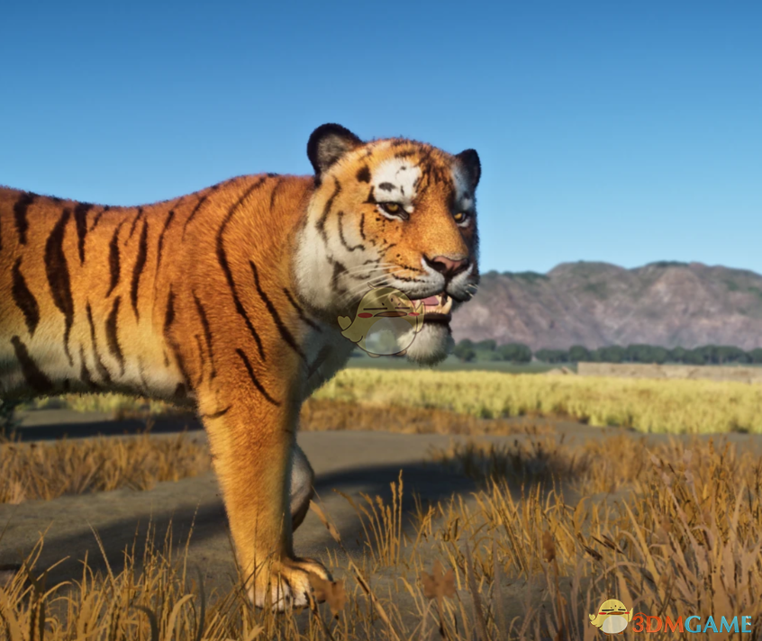 《动物园之星》新物种里海虎MOD