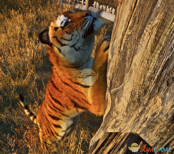 《动物园之星》新物种里海虎MOD