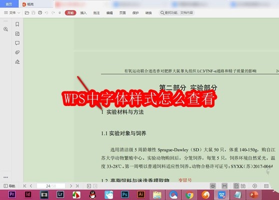 WPS中字体样式怎么查看