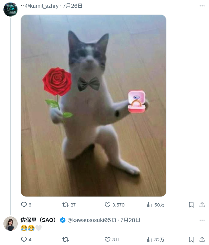 ձ˵һƬȻNTR˹˵ܻëӣ