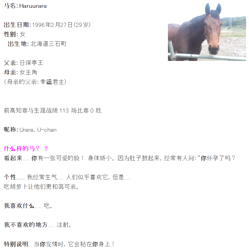 赛马的第一视角！ 在线日记分享春乌拉拉的退役日常