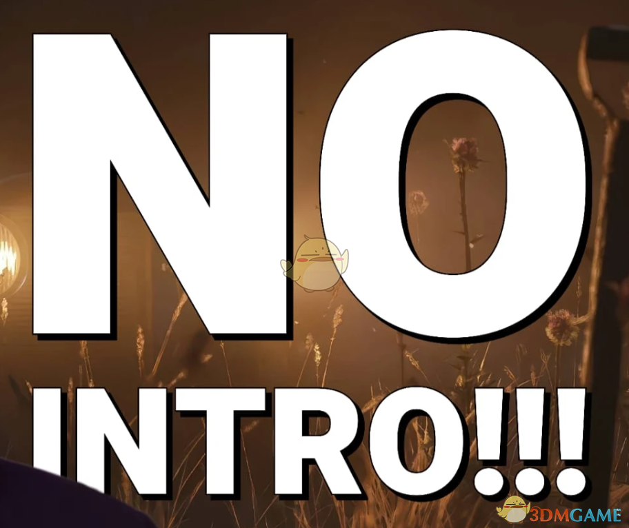 《四海兄弟:故乡》跳过启动视频MOD