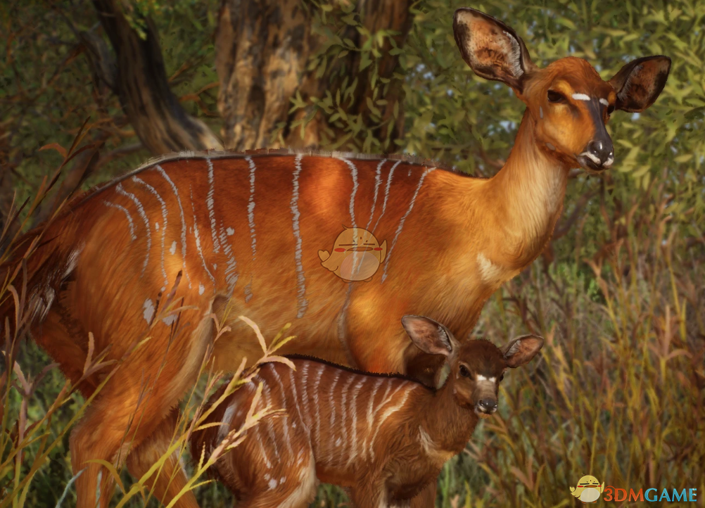 《动物园之星》重制南非羚羊MOD