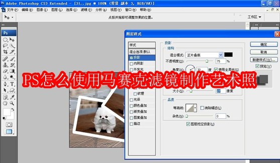 PS怎么使用马赛克滤镜制作艺术照