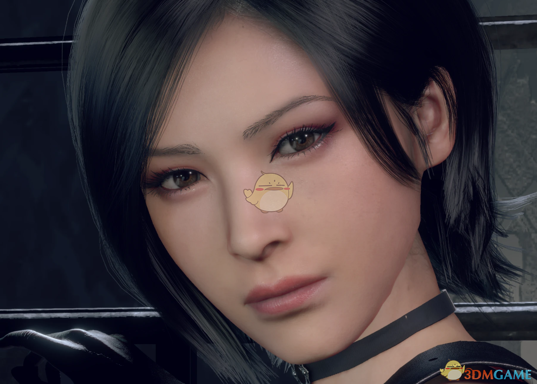 《生化危机4：重制版》艾达的RE2面部MOD