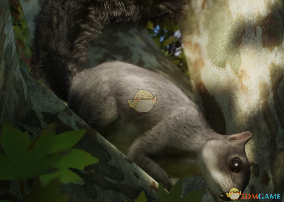 《动物园之星》新物种西部灰松鼠MOD