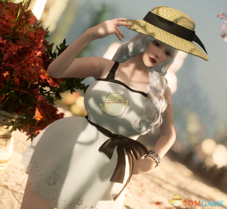 《上古卷轴5：天际重制版》夏季连衣裙MOD