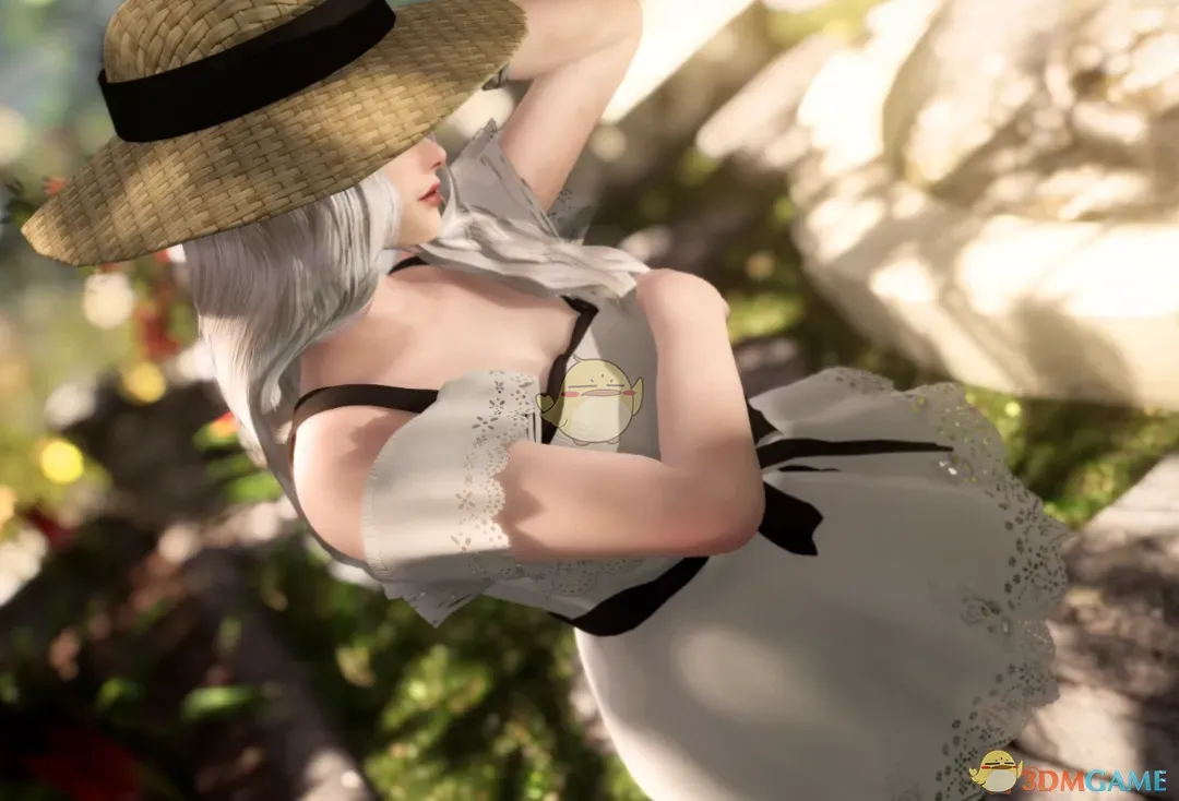 《上古卷轴5：天际重制版》夏季连衣裙MOD