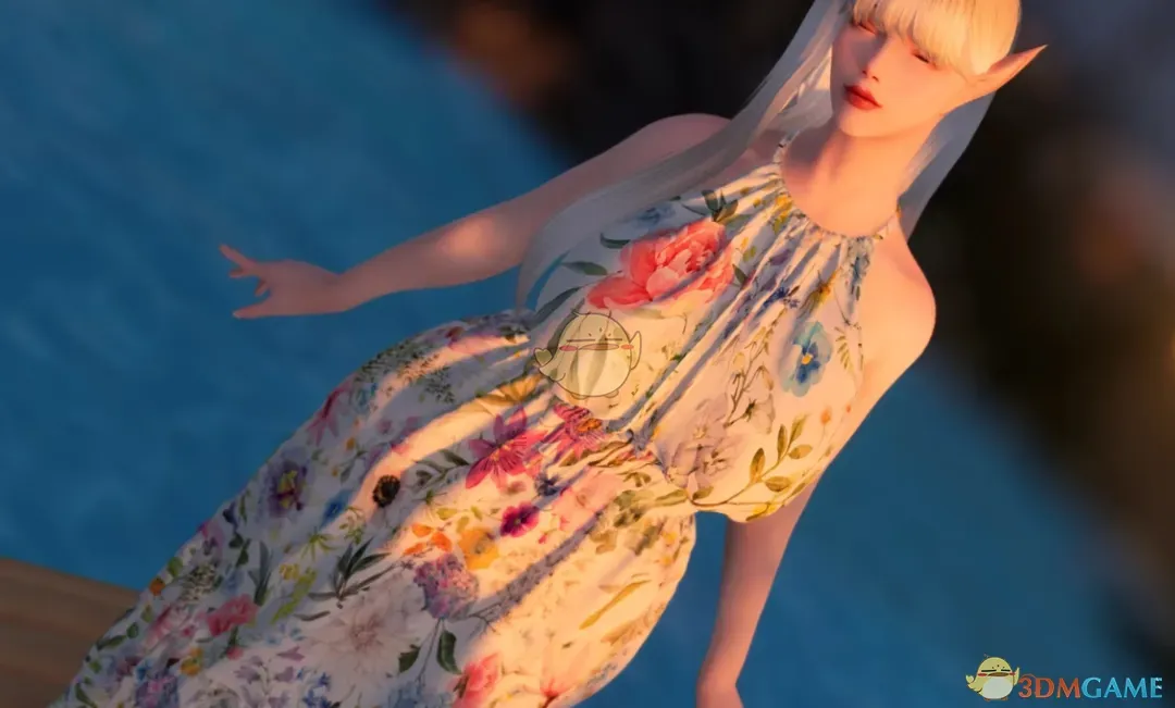 《上古卷轴5：天际重制版》FP碎花连衣裙MOD