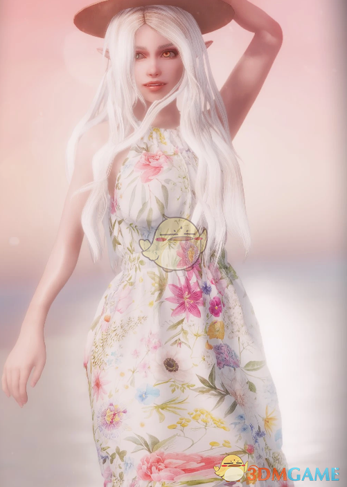 《上古卷轴5：天际重制版》FP碎花连衣裙MOD