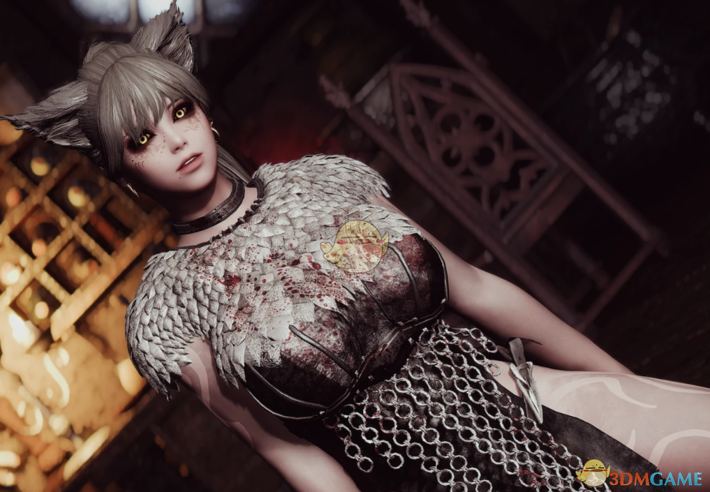 《上古卷轴5：天际重制版》祭司连衣裙MOD