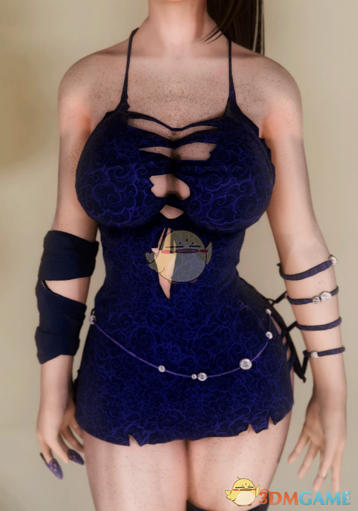 《上古卷轴5：天际重制版》噬血代码内衣MOD