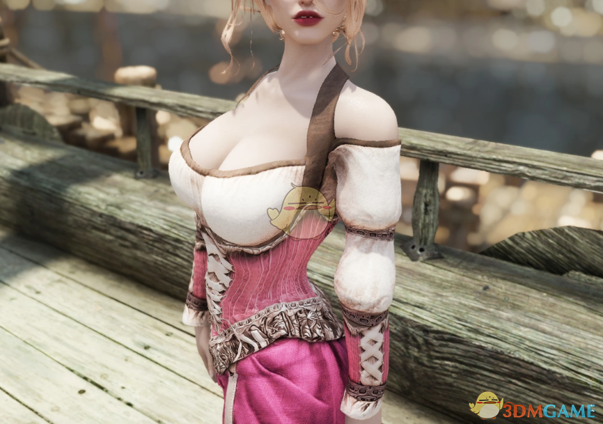 《上古卷轴5:天际重制版》酒馆女仆装MOD