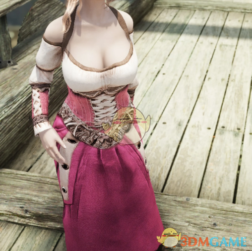 《上古卷轴5:天际重制版》酒馆女仆装MOD