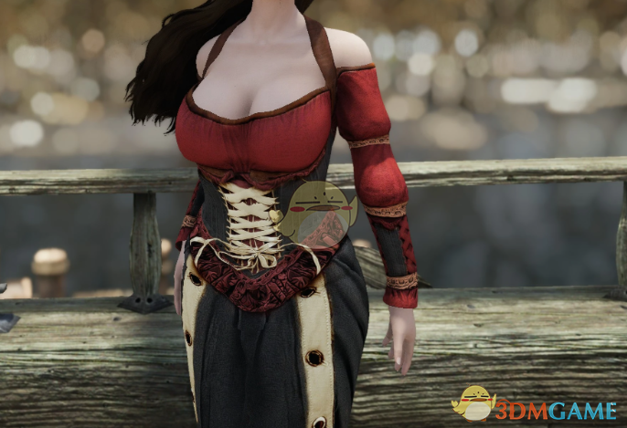 《上古卷轴5:天际重制版》酒馆女仆装MOD